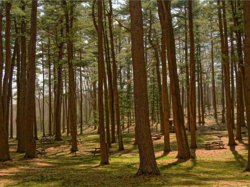 sudoku skill improvement